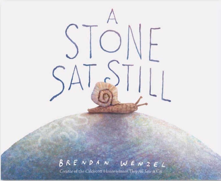 A STONE SAT STILL Brendan Wenzel